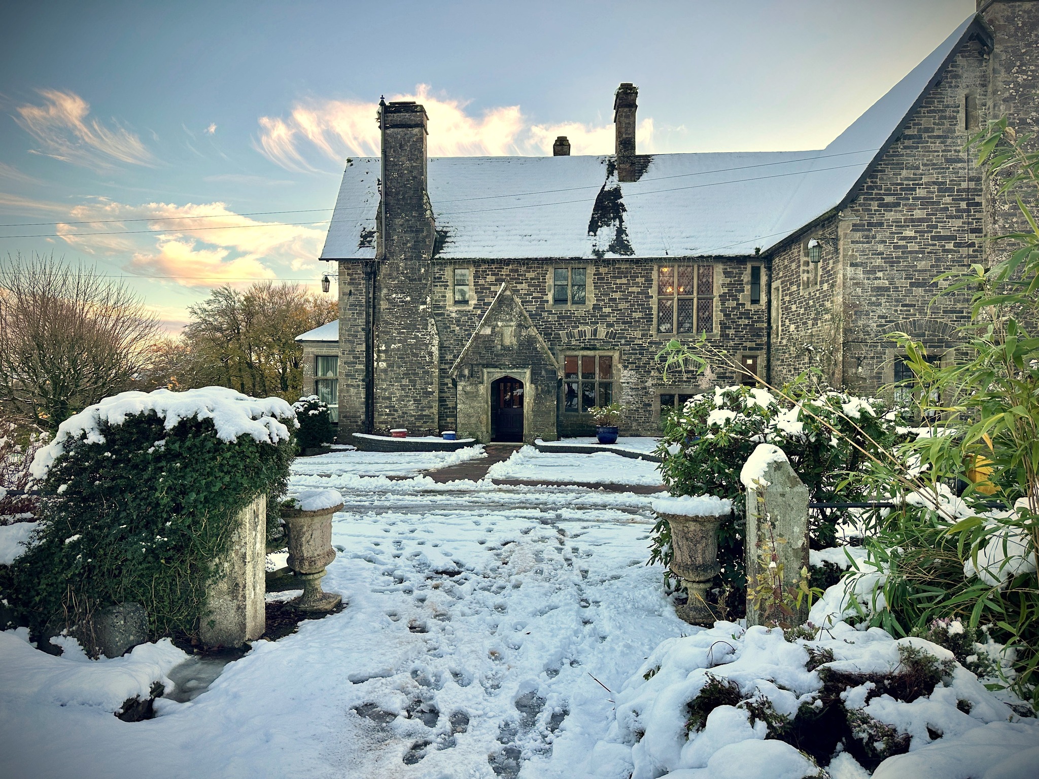 Wos’son this Autumn?